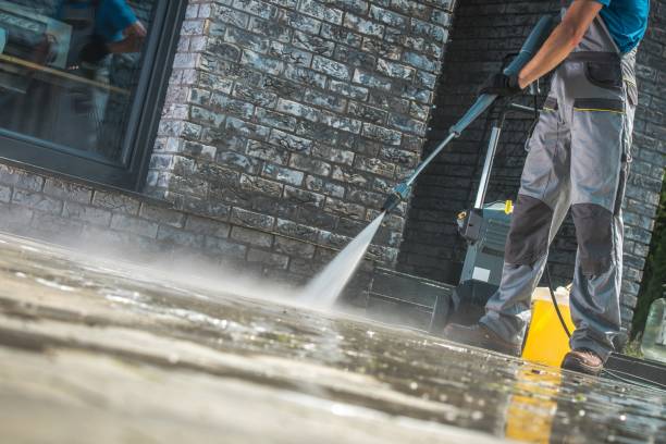 Best Boat and Dock Cleaning  in Camanche, IA