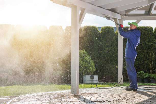 Best Patio and Deck Pressure Washing  in Camanche, IA