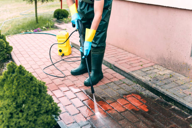 Professional Pressure Washing Services in Camanche, IA