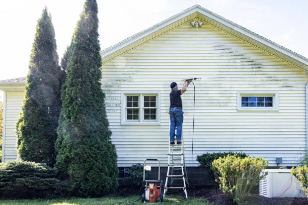 Solar Panel Cleaning in Camanche, IA